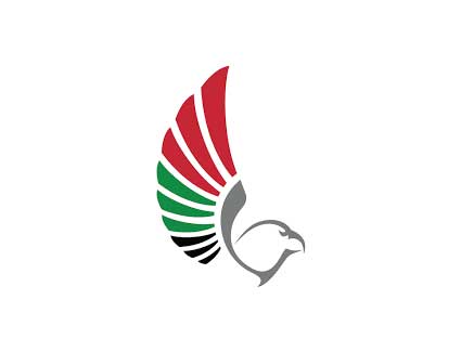 GCAA publishes updated vertiport, heliport framework for UAE